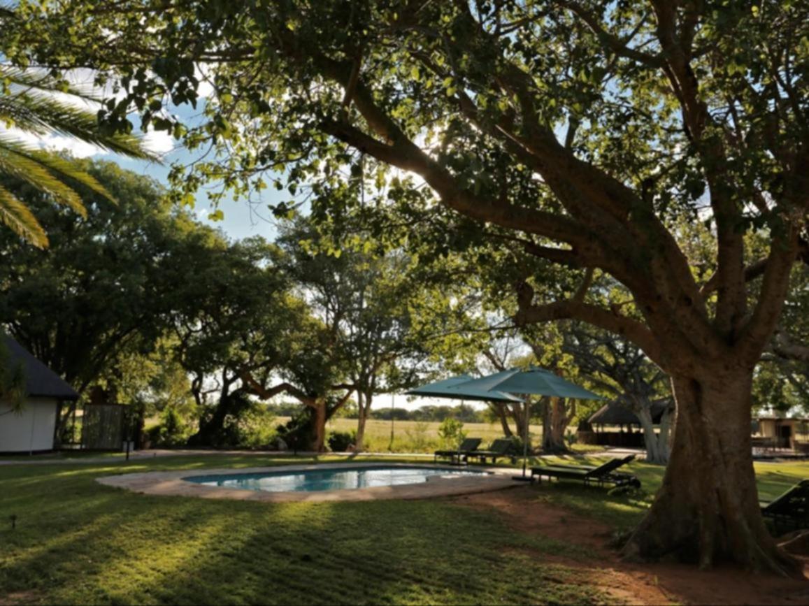 La Rochelle Lodge Namibia Tsumeb Esterno foto